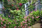 Geilston Bayrooftop-and-balcony-gardens-17.jpg; ?>